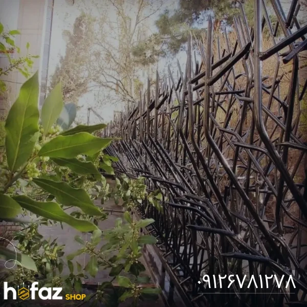 مقایسه بین انواع نرده بوته خاری